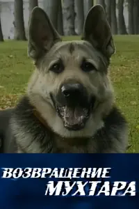 Алла Ковнир, Виктор Низовой,